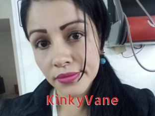 KinkyVane