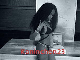 Kaninchen23