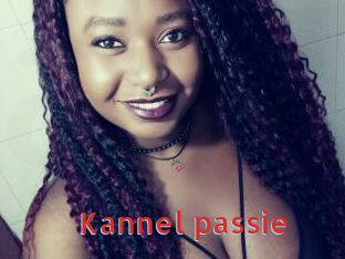 Kannel_passie