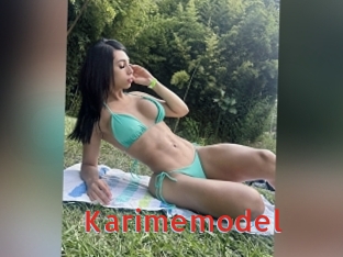 Karimemodel