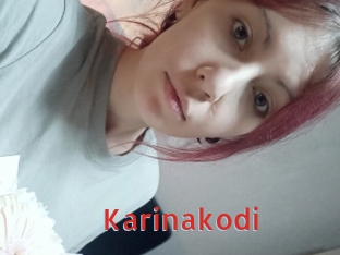 Karinakodi