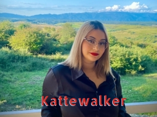 kattewalker Archive DVD NET