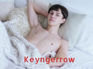 keyngerrow Archive DVD NET