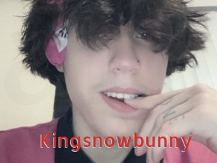 Kingsnowbunny