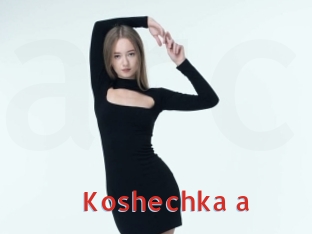 Koshechka_a