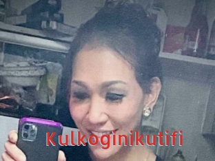 Kulkoginikutifi