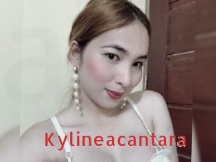 Kylineacantara