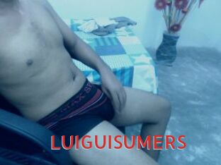 LUIGUISUMERS