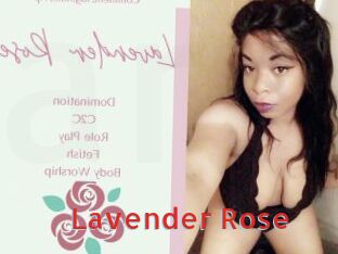 Lavender_Rose