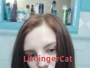 LilGingerCat