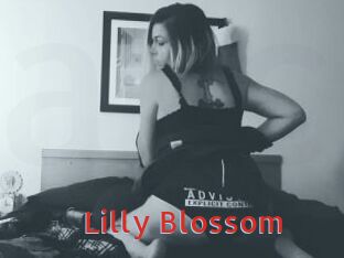 Lilly_Blossom