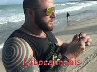 Lobocannabis