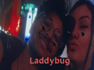 Laddybug