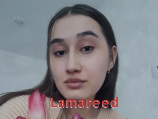 Lamareed