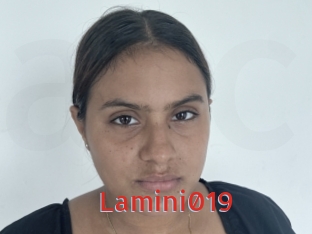 Lamini019