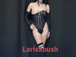 Larisabush