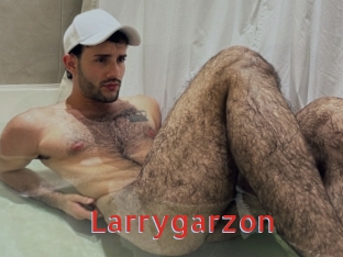 Larrygarzon