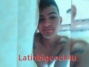 latinbigcock4u Archive DVD NET