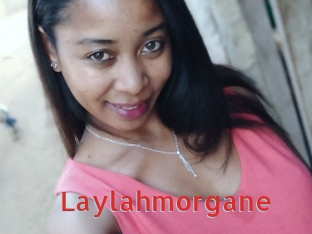 Laylahmorgane