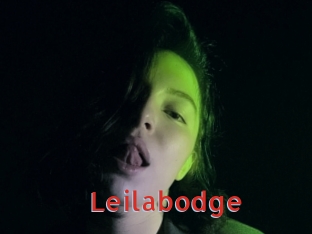 Leilabodge