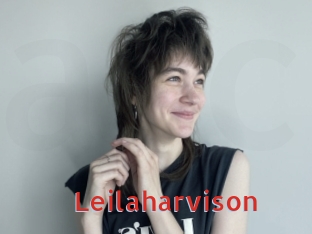 Leilaharvison