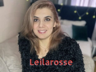 Leilarosse