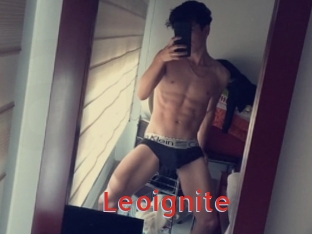 Leoignite