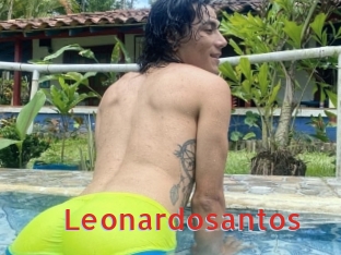 Leonardosantos