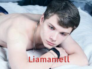 Liamamell