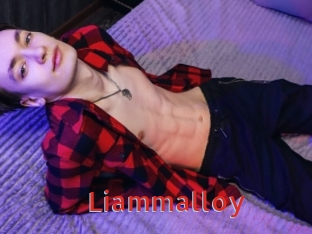 Liammalloy