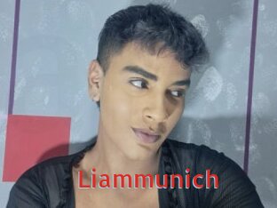 Liammunich