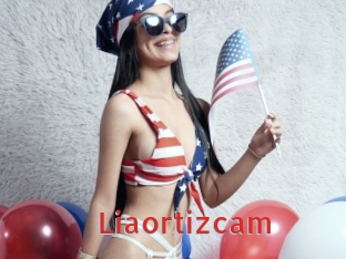 Liaortizcam