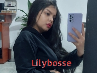 Lilybosse