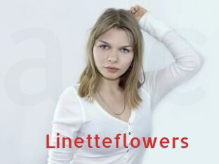 Linetteflowers