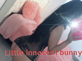 Little_innocent_bunny