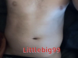 Littlebig99