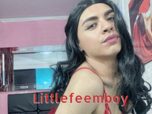 Littlefeemboy