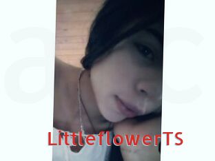 LittleflowerTS