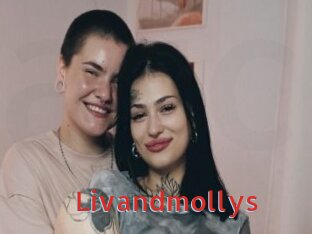 Livandmollys