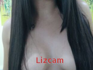 Lizcam