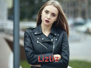 lizliz Archive DVD NET