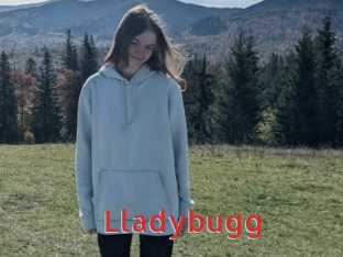 Lladybugg