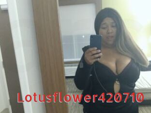 Lotusflower420710