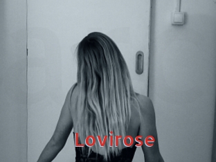 Lovirose