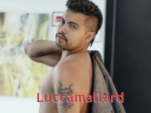 Luccamallard