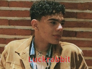 Luckrabbit