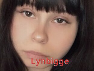 Lynbigge