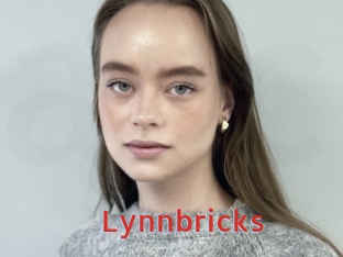 Lynnbricks