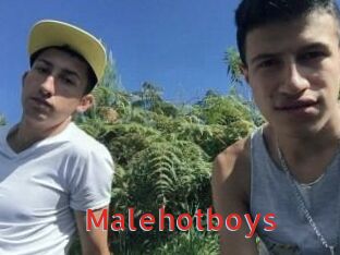 Malehotboys