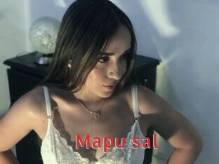 Mapu_sal